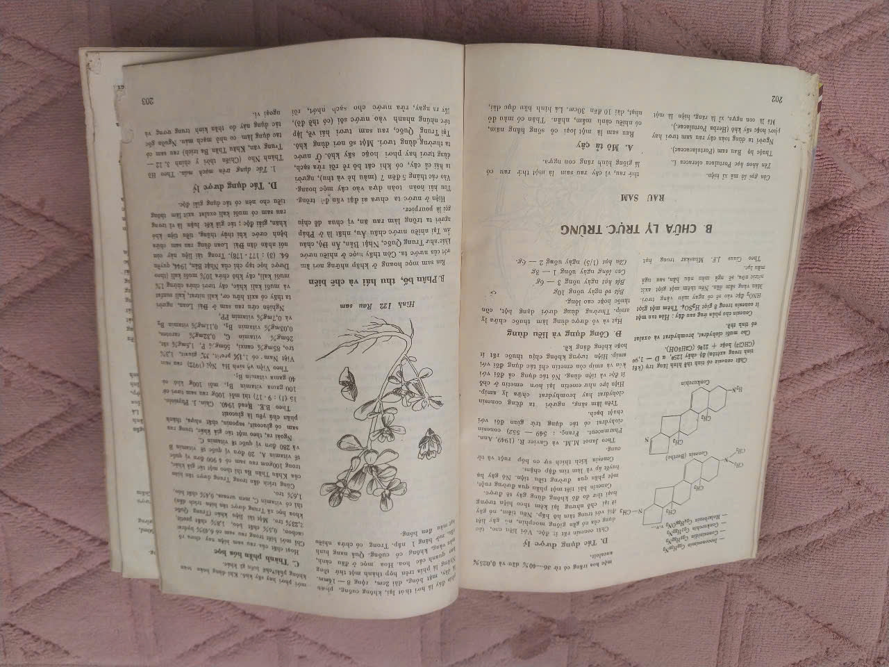 Medicinal Plants and Remedies of Vietnam (Những Cây Thuốc và Vị Thuốc Việt Nam) – Prof. Dr. Do Tat Loi, 1986 | Rare Vietnamese Book