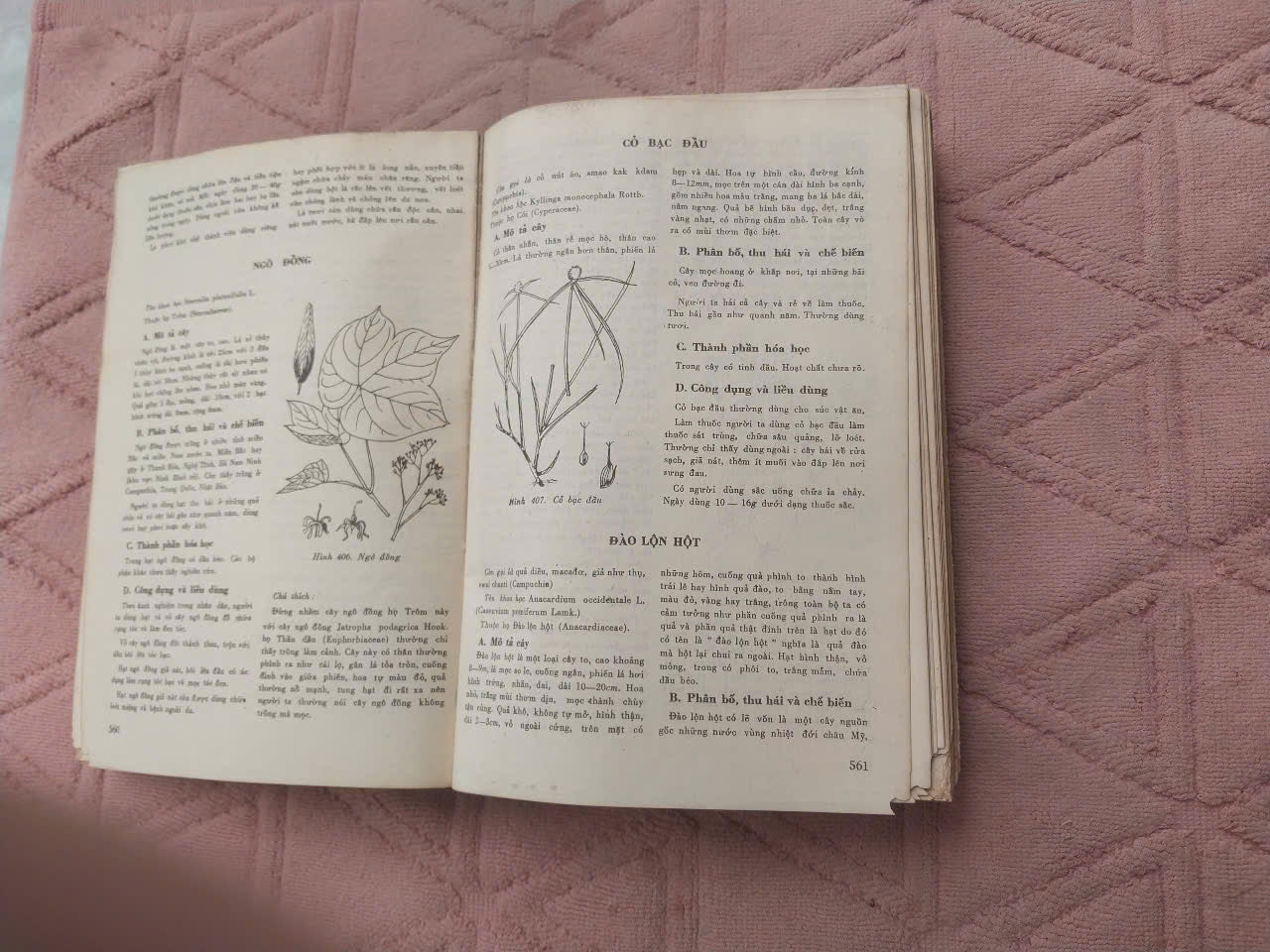Medicinal Plants and Remedies of Vietnam (Những Cây Thuốc và Vị Thuốc Việt Nam) – Prof. Dr. Do Tat Loi, 1986 | Rare Vietnamese Book