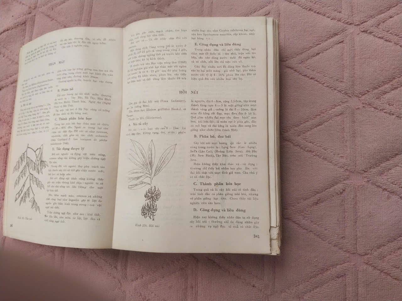 Medicinal Plants and Remedies of Vietnam (Những Cây Thuốc và Vị Thuốc Việt Nam) – Prof. Dr. Do Tat Loi, 1986 | Rare Vietnamese Book