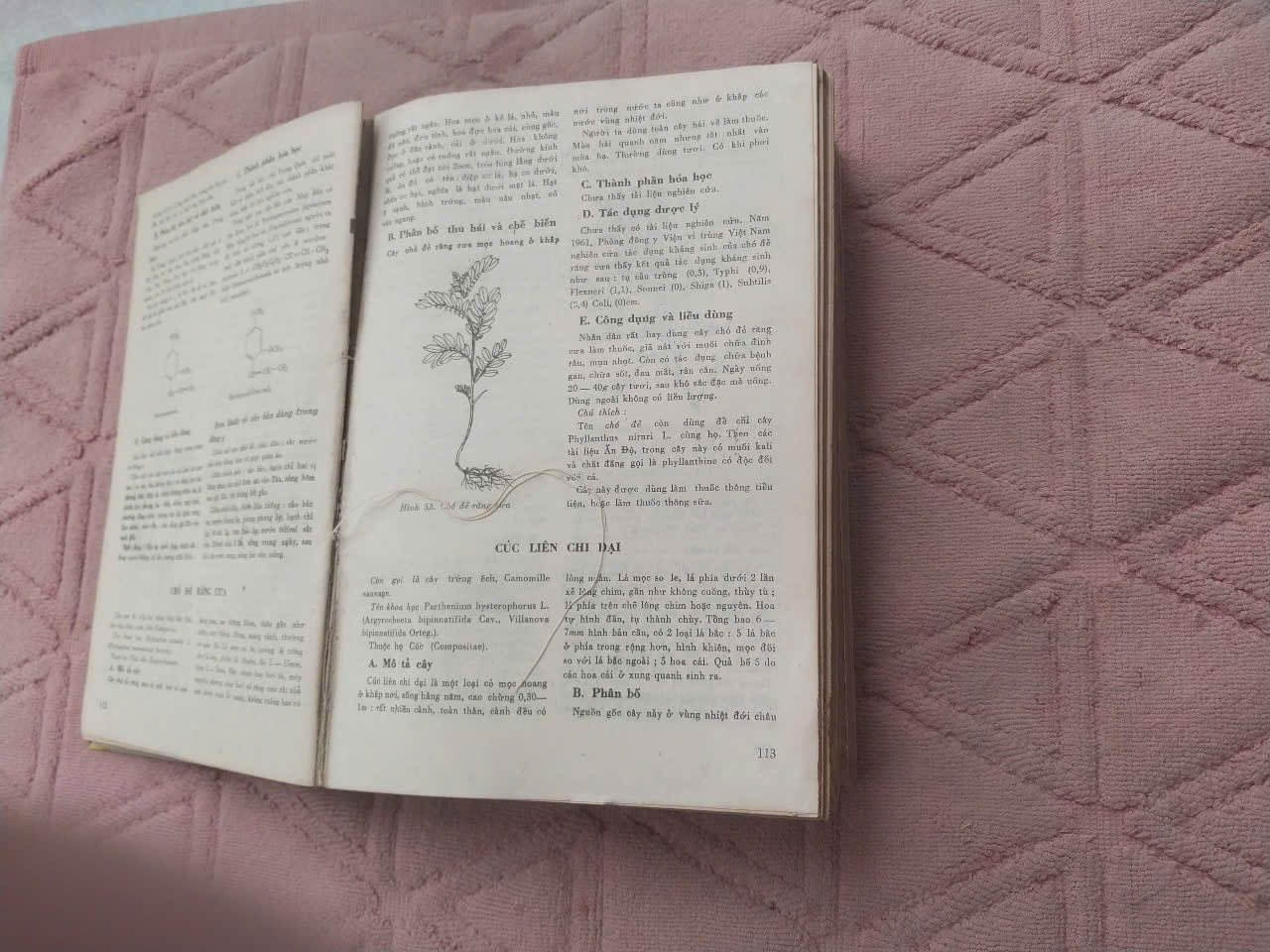 Medicinal Plants and Remedies of Vietnam (Những Cây Thuốc và Vị Thuốc Việt Nam) – Prof. Dr. Do Tat Loi, 1986 | Rare Vietnamese Book