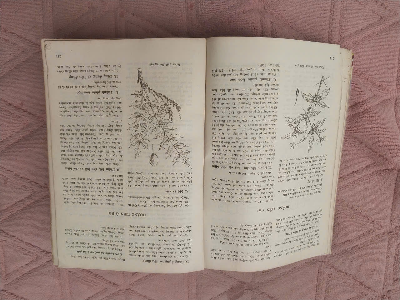 Medicinal Plants and Remedies of Vietnam (Những Cây Thuốc và Vị Thuốc Việt Nam) – Prof. Dr. Do Tat Loi, 1986 | Rare Vietnamese Book