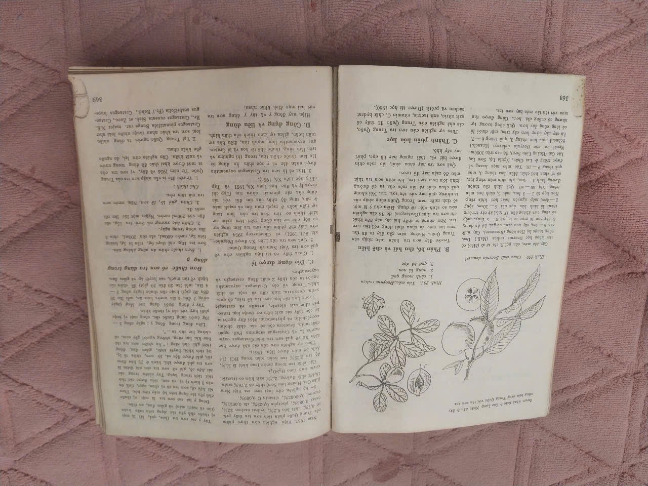 Medicinal Plants and Remedies of Vietnam (Những Cây Thuốc và Vị Thuốc Việt Nam) – Prof. Dr. Do Tat Loi, 1986 | Rare Vietnamese Book