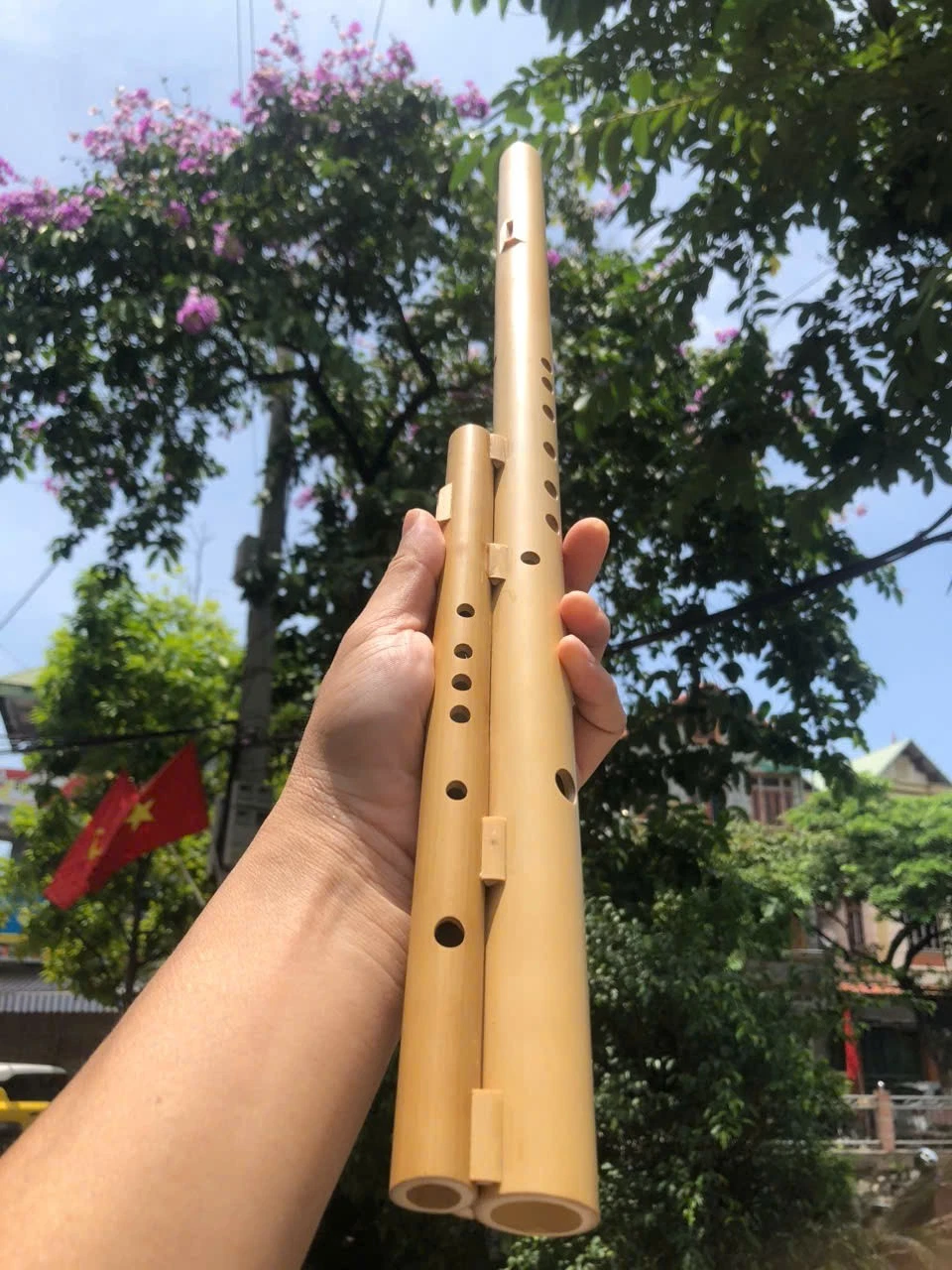 Double Bamboo Flute in C Tone – Traditional Hmong Style Instrument from Vietnam