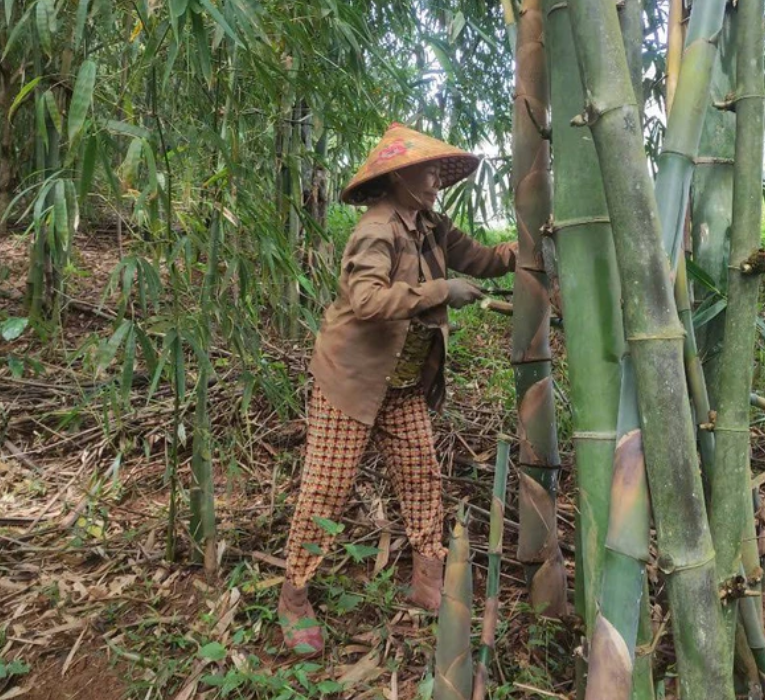 Phach Tre (Vietnamese Bamboo Clappers) & Canh (Traditional Vietnamese Small Brass Gong)