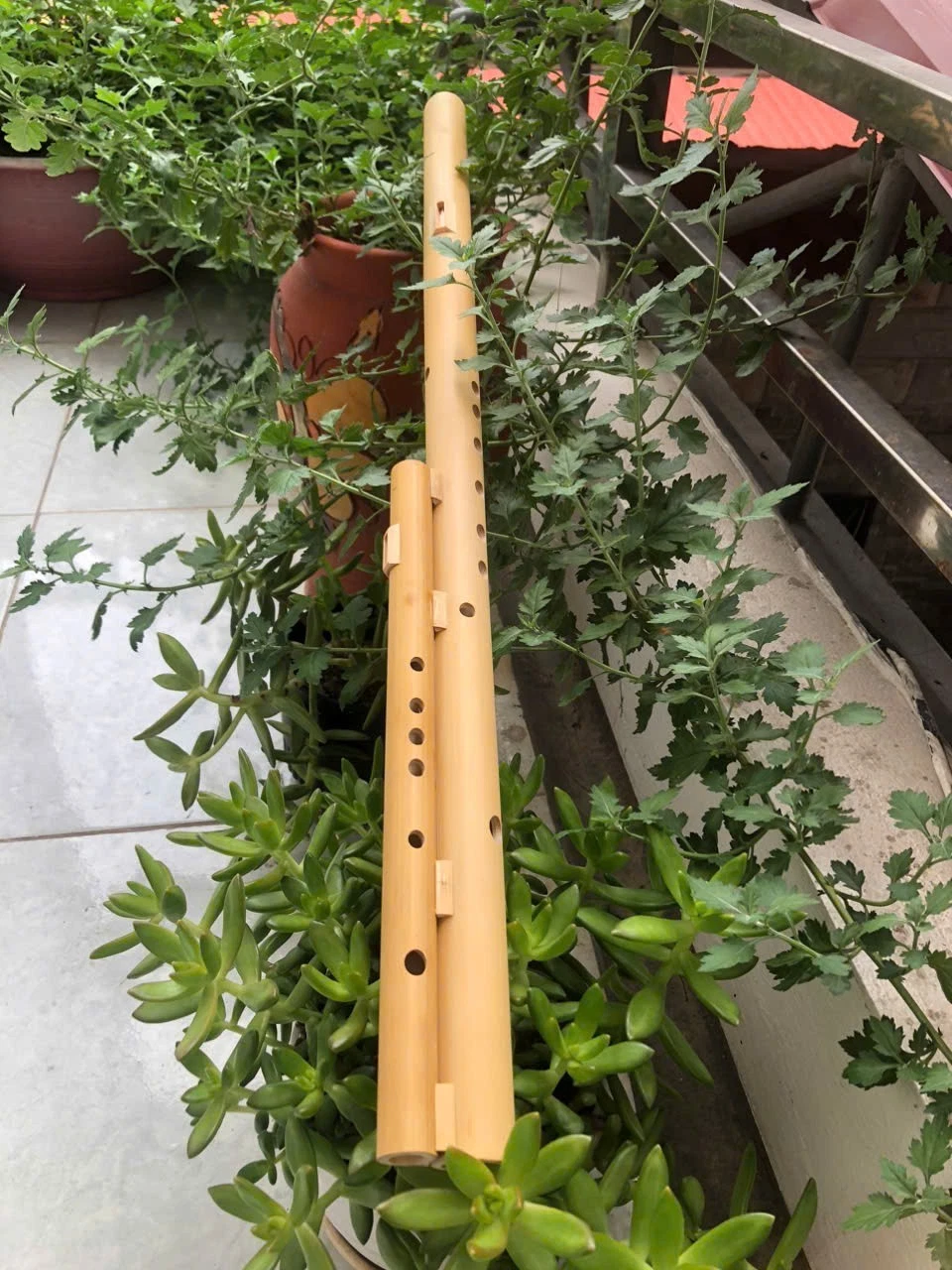 Double Bamboo Flute in C Tone – Traditional Hmong Style Instrument from Vietnam