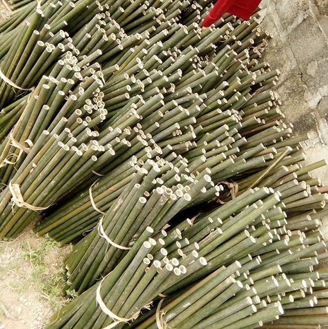 Vietnamese C5 Bamboo Flute – 2-Flute Smoked Bamboo Set | How Bamboo Becomes the Voice of Vietnam
