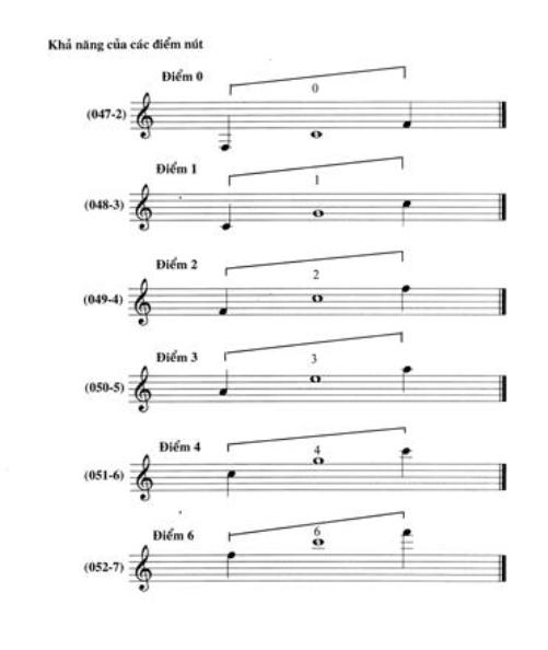 Vietnamese Dan Bau – The Story, Craft, Sound, and Cultural Heritage of Vietnam’s One-String Instrument