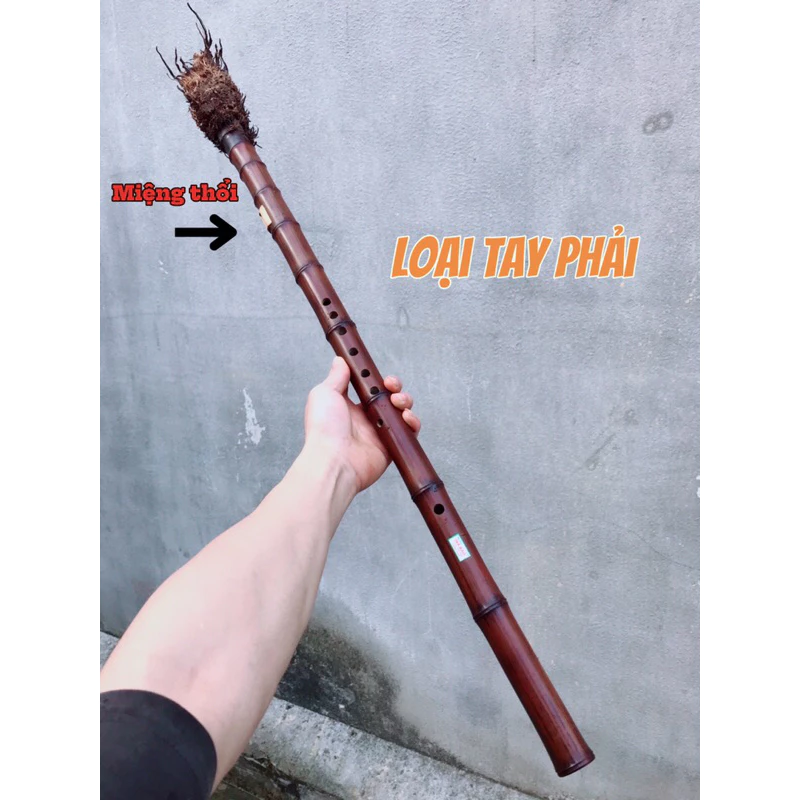 Vietnamese Double Sao Meo Flute – Smoked Bamboo Root | Traditional Vietnamese Highland Instrument