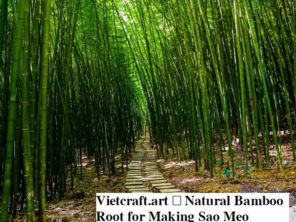 Vietnamese Double Sao Meo Flute – Smoked Bamboo Root | Traditional Vietnamese Highland Instrument
