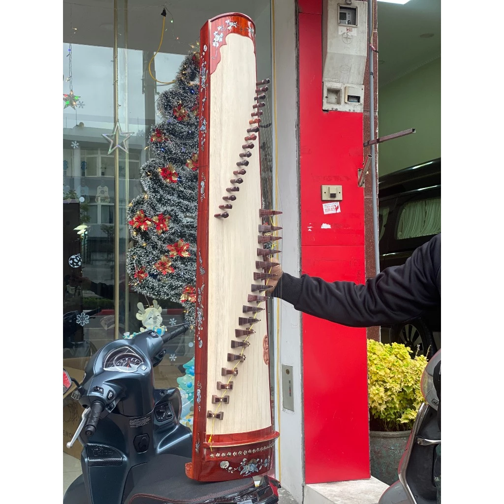 Dan Tranh (Vietnamese Zither) – The Soul of Vietnamese Folk Music