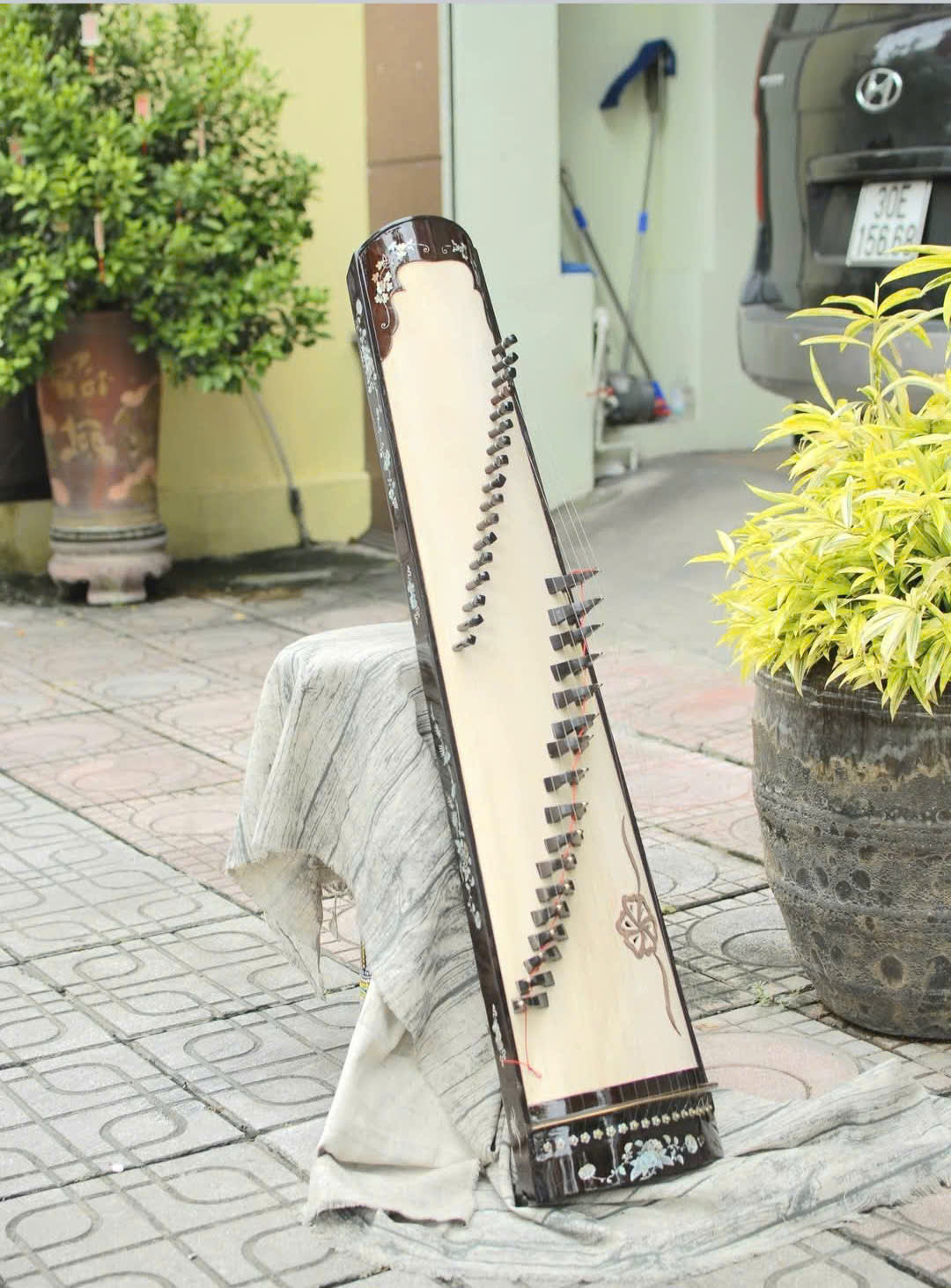Dan Tranh (Vietnamese Zither) – The Soul of Vietnamese Folk Music