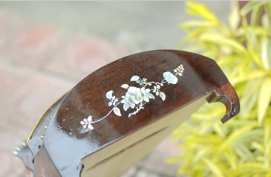 Dan Tranh (Vietnamese Zither) – The Soul of Vietnamese Folk Music