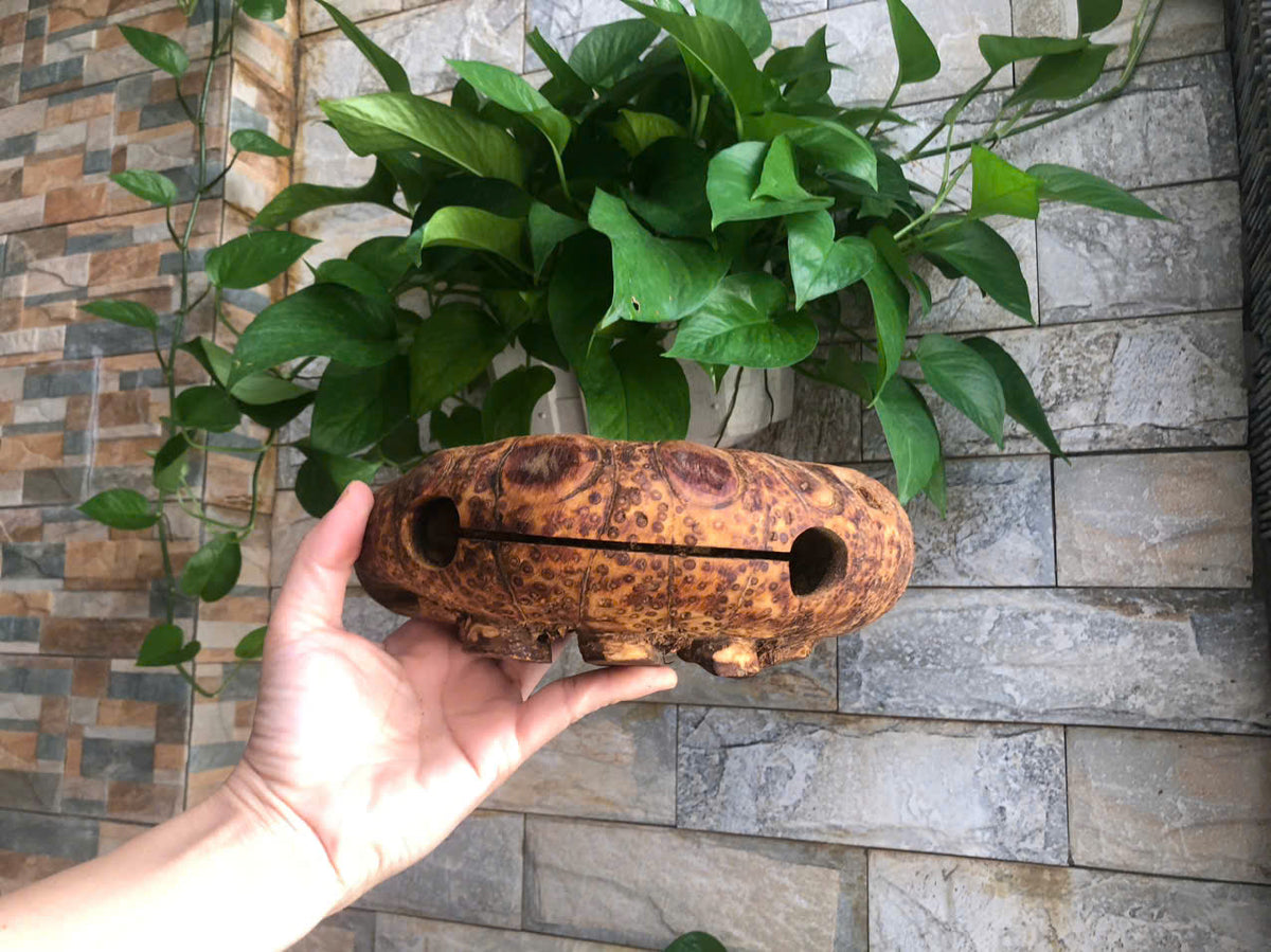 Bamboo Root Temple Woodblock — A Handcrafted Sound of Vietnam