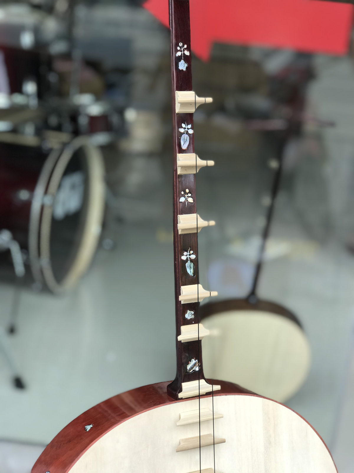 Dan Nguyet (Vietnamese Moon-Shaped Lute): The Story, Sound, Craftsmanship & Cultural Heritage of Vietnam.