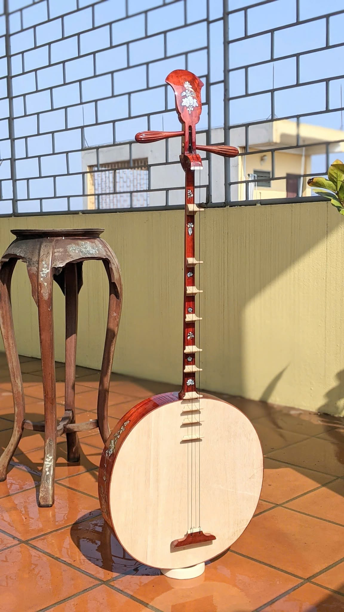 Dan Nguyet (Vietnamese Moon-Shaped Lute): The Story, Sound, Craftsmanship & Cultural Heritage of Vietnam.