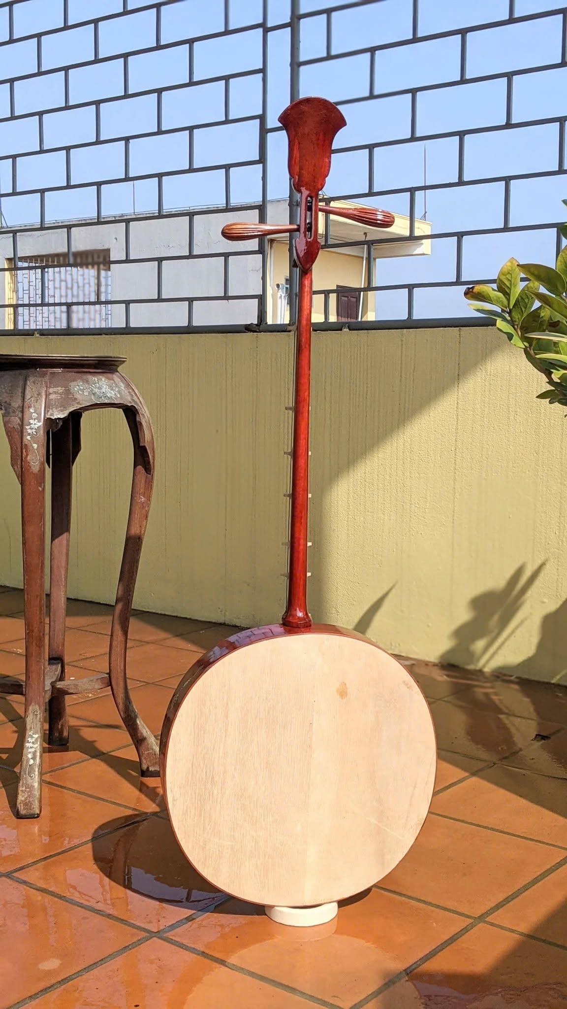 Dan Nguyet (Vietnamese Moon-Shaped Lute): The Story, Sound, Craftsmanship & Cultural Heritage of Vietnam.