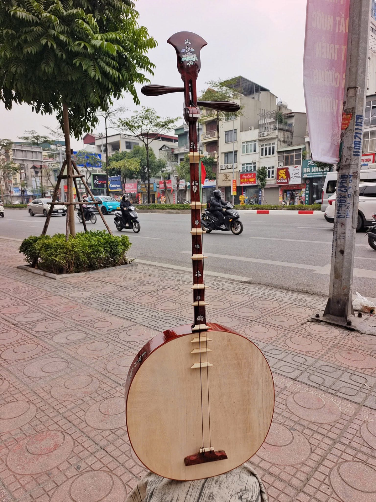 Dan Nguyet (Vietnamese Moon-Shaped Lute): The Story, Sound, Craftsmanship & Cultural Heritage of Vietnam.
