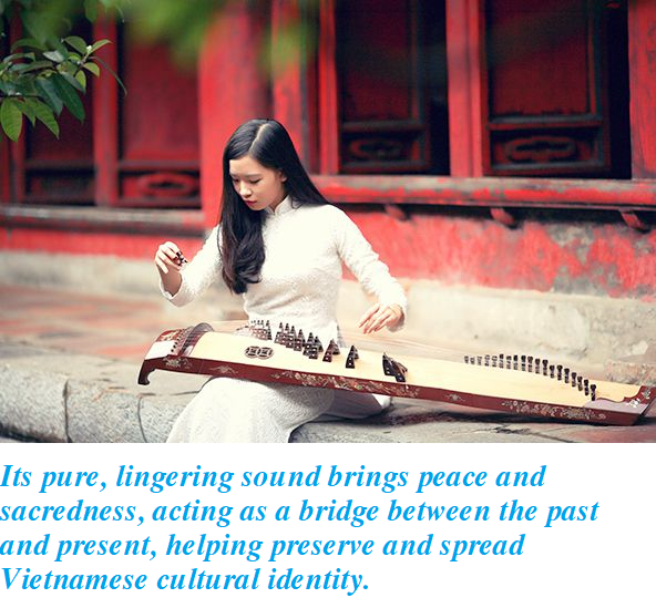 Dan Tranh (Vietnamese Zither) – The Soul of Vietnamese Folk Music