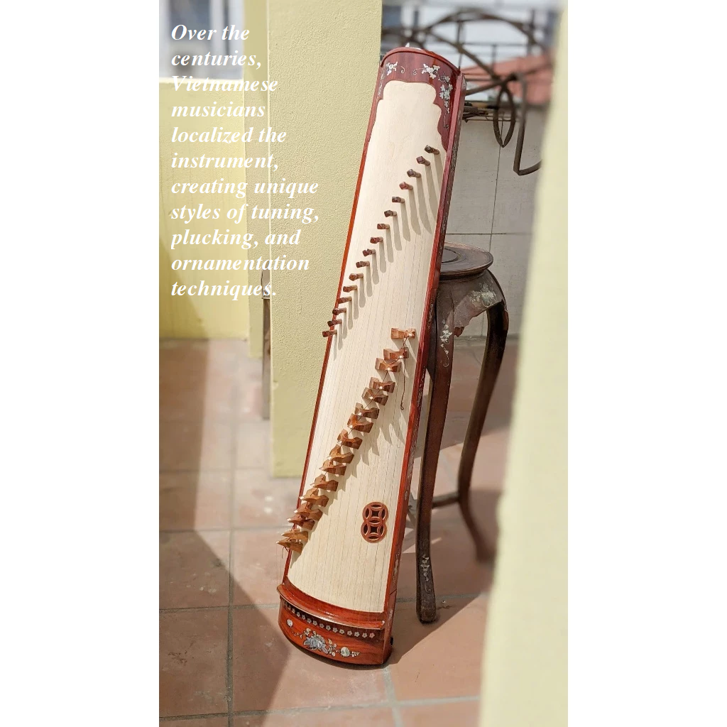 Dan Tranh (Vietnamese Zither) – The Soul of Vietnamese Folk Music